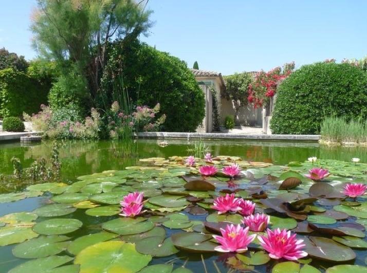 Le Mazet 40 Villa Saint-Rémy-de-Provence Dış mekan fotoğraf
