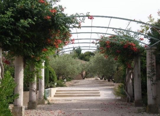 Le Mazet 40 Villa Saint-Rémy-de-Provence Dış mekan fotoğraf